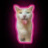 BLEH Cat RGB Neon Sign - Image 6