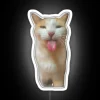 BLEH Cat RGB Neon Sign