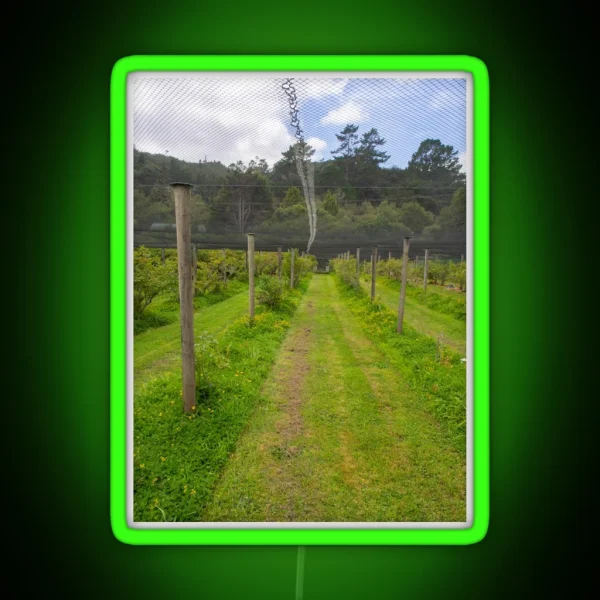 Blueberry Bushes Under A Net RGB Neon Sign