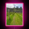 Blueberry Bushes Under A Net RGB Neon Sign