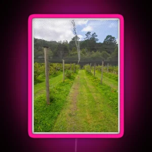 Blueberry Bushes Under A Net RGB Neon Sign