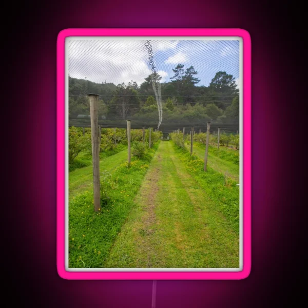 Blueberry Bushes Under A Net RGB Neon Sign