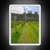 Blueberry Bushes Under A Net RGB Neon Sign - Image 5
