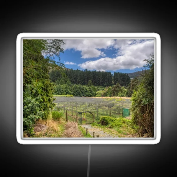 Blueberry Farm Landscape RGB Neon Sign