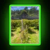 Blueberry Farm Netting RGB Neon Sign - Image 4