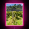Blueberry Farm Netting RGB Neon Sign