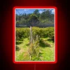 Blueberry Farm Netting RGB Neon Sign - Image 2