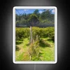 Blueberry Farm Netting RGB Neon Sign - Image 5