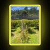 Blueberry Farm Netting RGB Neon Sign - Image 6