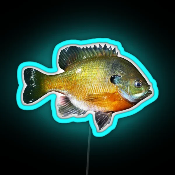 Bluegill RGB Neon Sign