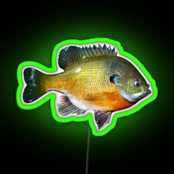 Bluegill RGB Neon Sign