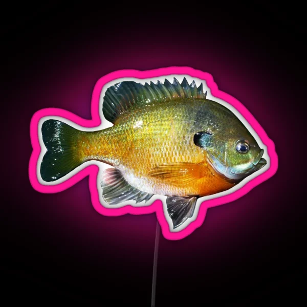 Bluegill RGB Neon Sign