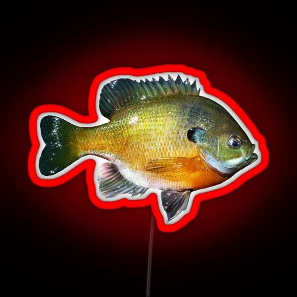 Bluegill RGB Neon Sign