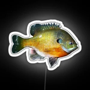 Bluegill RGB Neon Sign