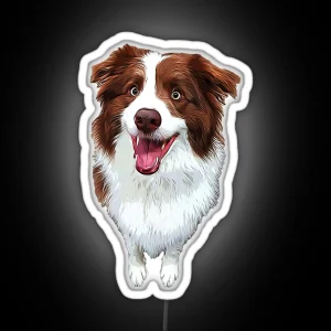 Border Collie Chocolate Brown Beauty RGB Neon Sign