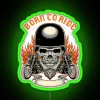 Born To Ride RGB Neon Sign - Image 3