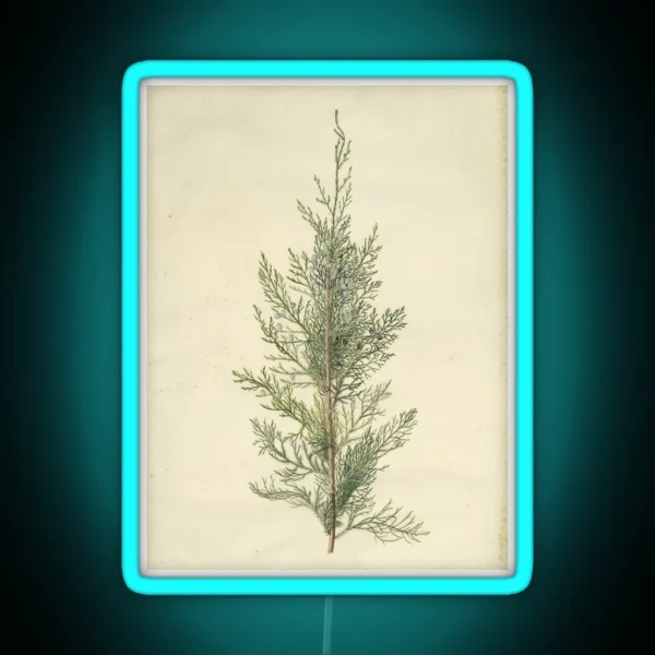Botanical Juniper RGB Neon Sign