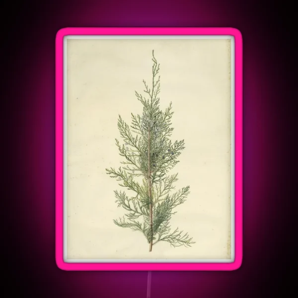 Botanical Juniper RGB Neon Sign