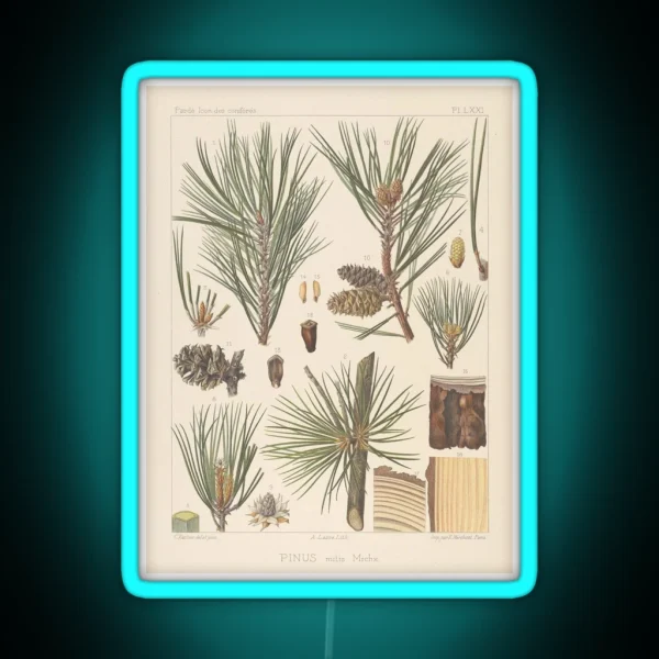 Botanical Pine RGB Neon Sign