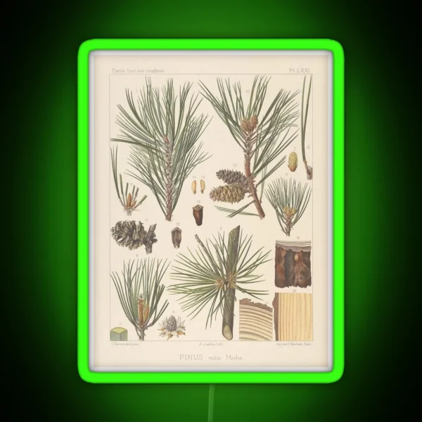 Botanical Pine RGB Neon Sign