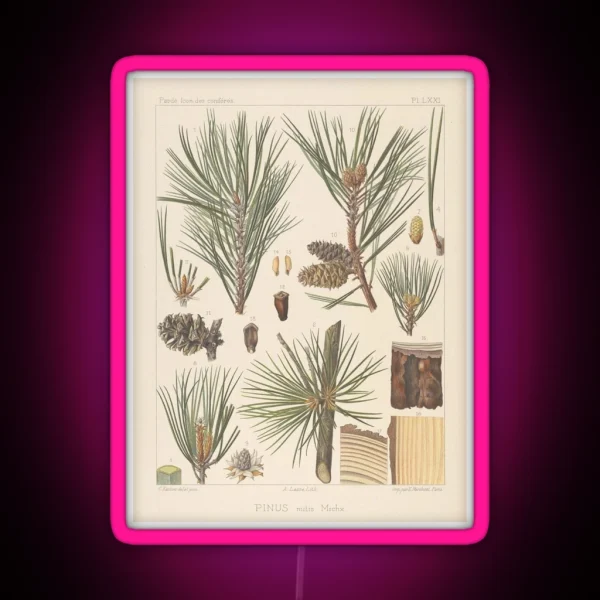 Botanical Pine RGB Neon Sign