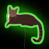 Brown Cat Custom RGB Neon Sign - Image 3