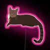 Brown Cat Custom RGB Neon Sign - Image 6