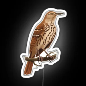 Brown Thrasher Standing On A Branch RGB Neon Sign