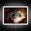 Bubble Netting A Floor Display Click On Link For Info RGB Neon Sign - Image 5