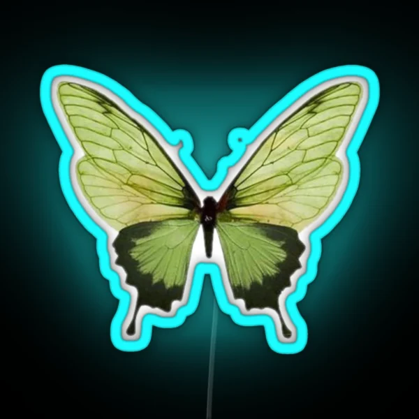 Butterfly RGB Neon Sign