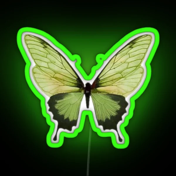 Butterfly RGB Neon Sign