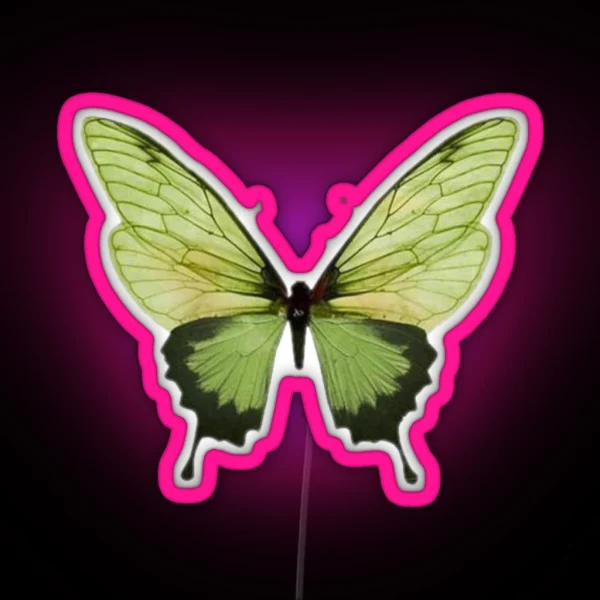 Butterfly RGB Neon Sign