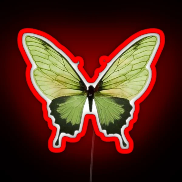 Butterfly RGB Neon Sign