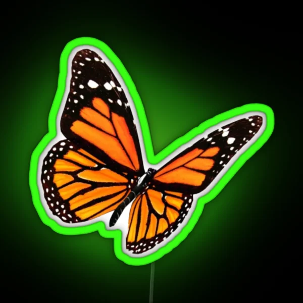 Butterfly RGB Neon Sign
