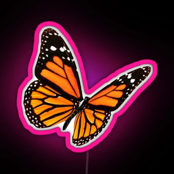 Butterfly RGB Neon Sign