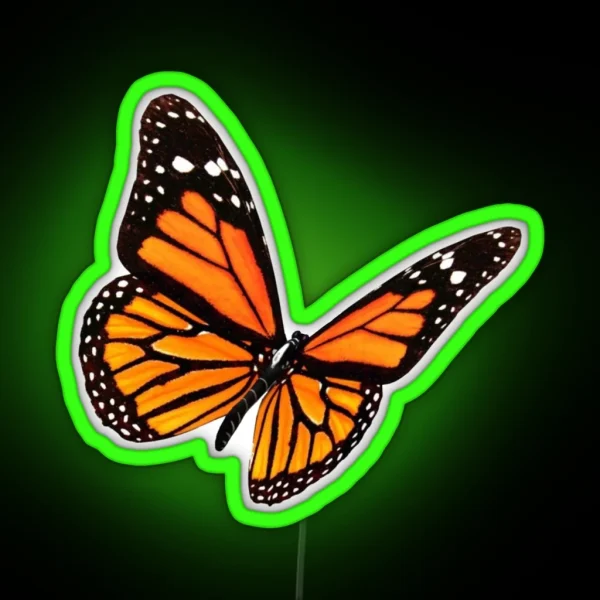 Butterfly RGB Neon Sign