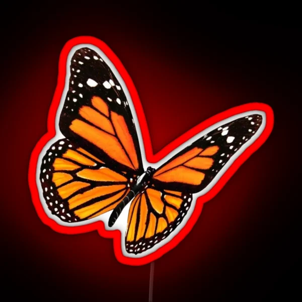 Butterfly RGB Neon Sign