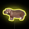 C Is For Common Hippo RGB Neon Sign - Image 5