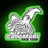 Calamari Race Team Logo Square RGB Neon Sign - Image 4