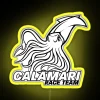 Calamari Race Team Logo Square RGB Neon Sign - Image 5