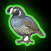 California Quail RGB Neon Sign - Image 4