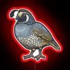 California Quail RGB Neon Sign - Image 2