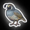 California Quail RGB Neon Sign - Image 5