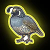 California Quail RGB Neon Sign - Image 6