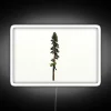 California Red Fir Rectangle RGB Neon Sign