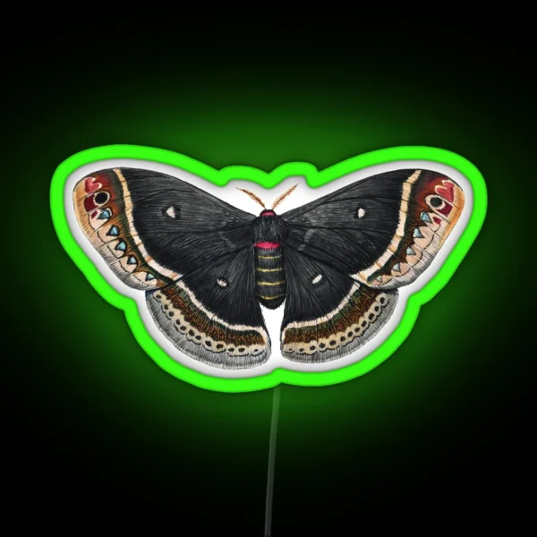 Calleta Silkmoth Eupackardia Calleta RGB Neon Sign