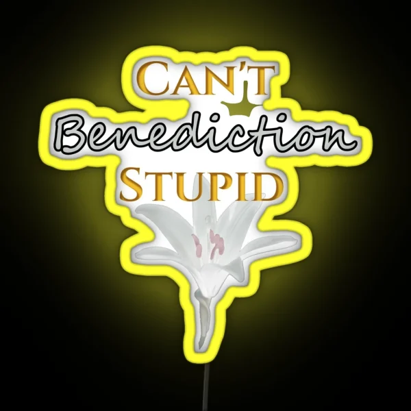 Can T Benediction Stupid RGB Neon Sign