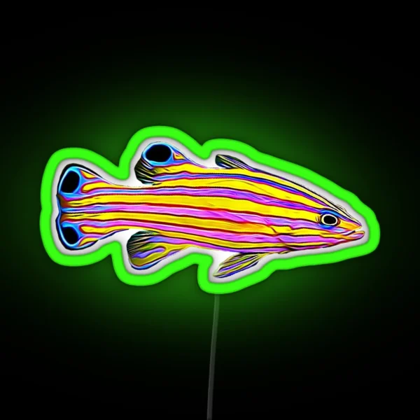 Candy Basslet Reef Fish RGB Neon Sign