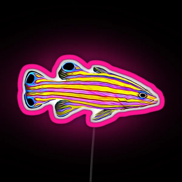 Candy Basslet Reef Fish RGB Neon Sign