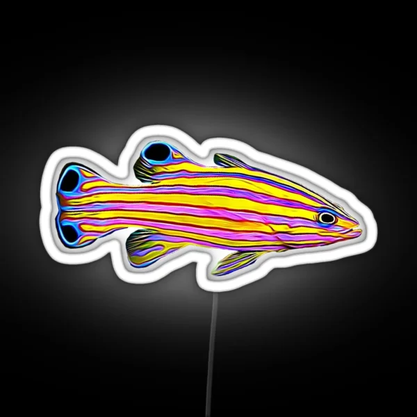 Candy Basslet Reef Fish RGB Neon Sign
